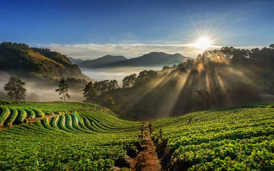 Tipos de finca en Colombia