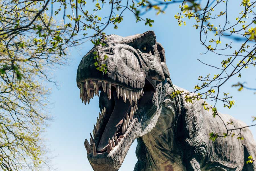 Parque Temático de dinosaurios a menos de 2 horas de Bogotá