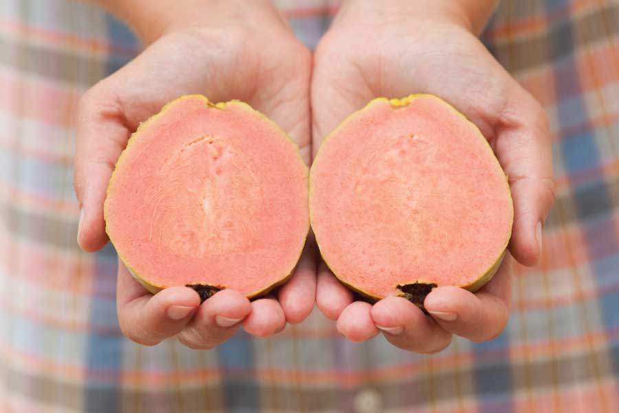 La agricultura en Mesitas del Colegio: Tradición y clima lleno de sabor