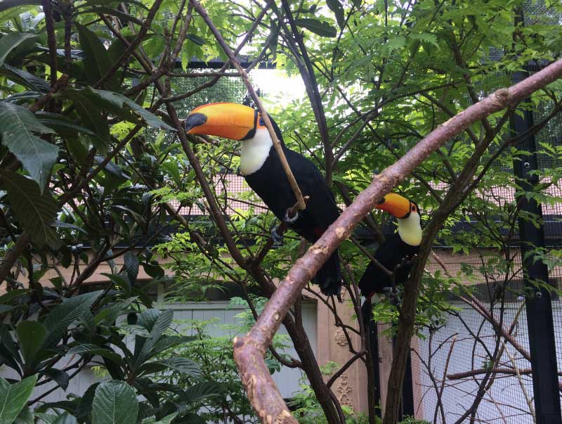 Santa Cruz: El Zoológico de Mesitas que debes visitar